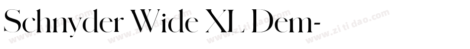 Schnyder Wide XL Dem字体转换